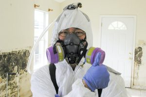 Read more about the article Identify Mold Poisoning in Your Home Before It Makes You Sick