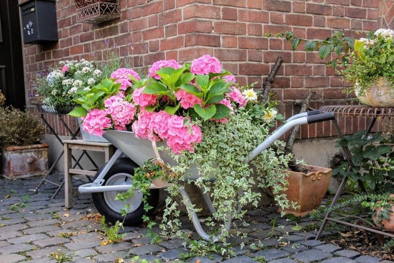 Start your do-it-yourself journey: recreate your garden environment