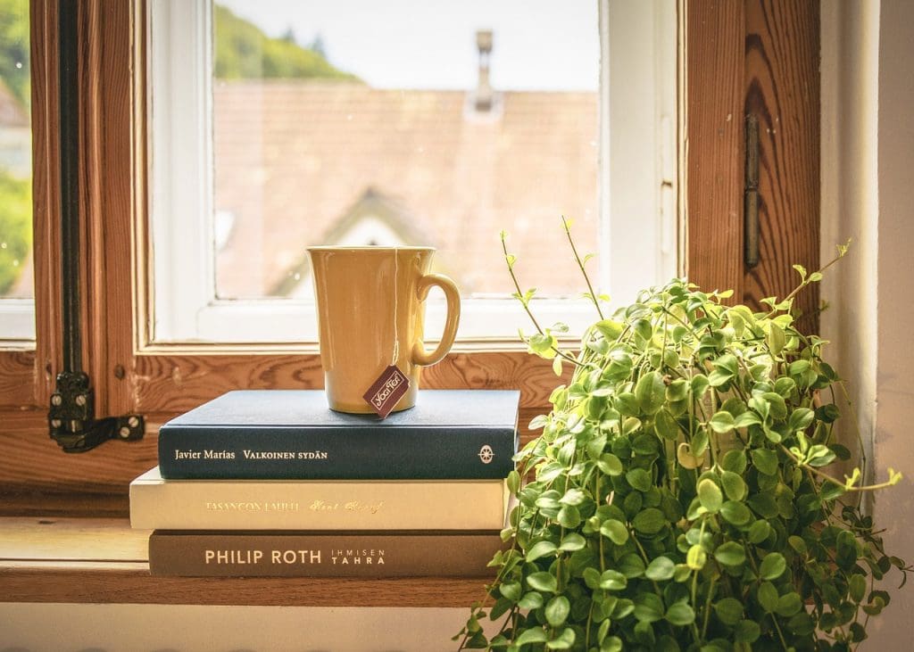 Books and houseplant