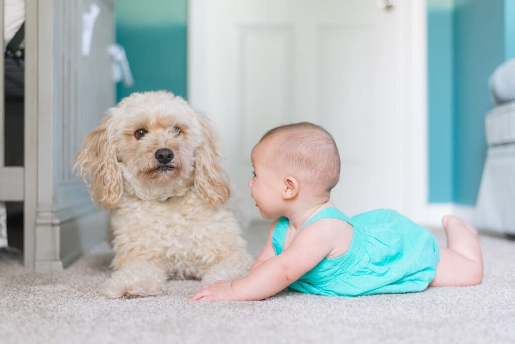 Baby with dog