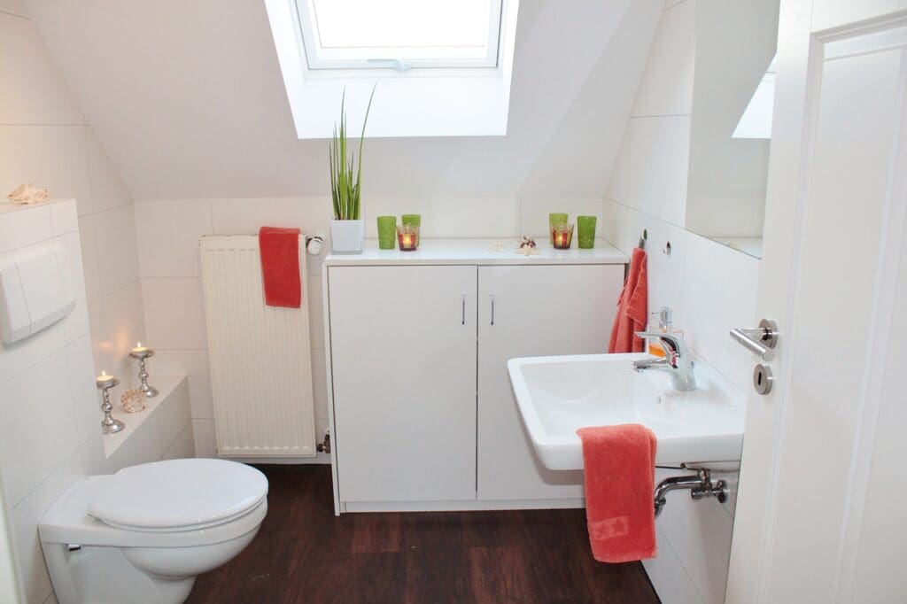 Skylight in bathroom