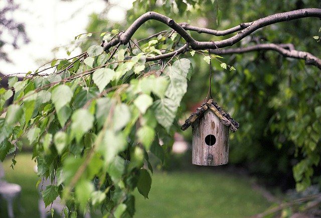 Garden Bird feeder 