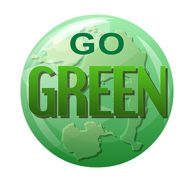You are currently viewing Smart and Simple Ways That Your Household Can Go Greener This Year