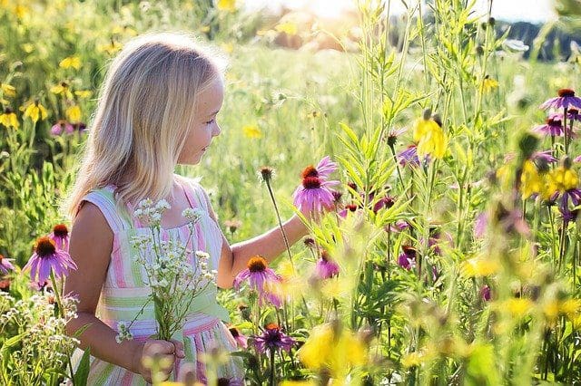 Girl picking flowers