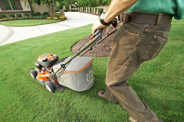 You are currently viewing How to Prepare Your Lawn for the Summer Heat