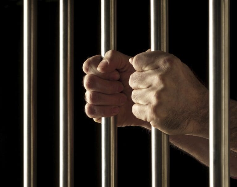 Felony Defense: Knowing Your Rights and the Available Defense Strategies