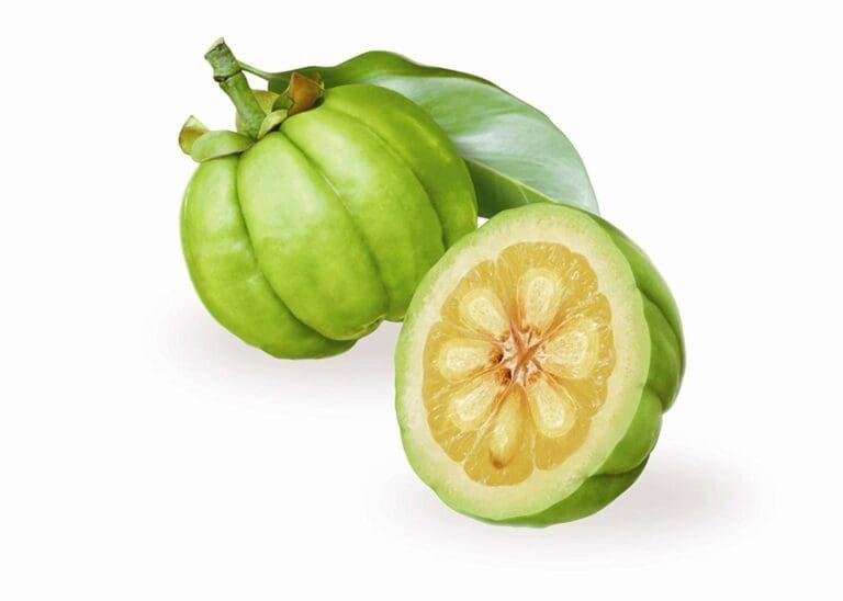 Garcinia Cambogia Extract Benefits