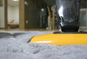 Read more about the article How To Take Care of Your Carpet