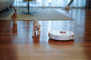 Read more about the article Robot Vacuum Cleaners: Expensive Toys or Irreplaceable Cleaning Assistants? Tips on the Perfect Model Choice