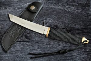 Read more about the article Japanese Tanto Knives: Everything You Need to Know
