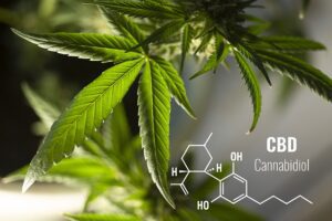 Read more about the article A Beginner’s Guide to CBD: What It Is, What It Isn’t