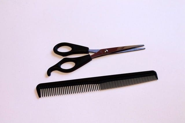 Hair styling scissors and comb