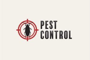 Read more about the article 6 Most Common Pests at Home and How to Deal With Them