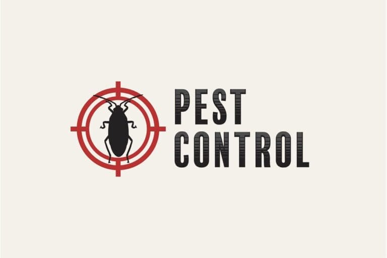6 Most Common Pests at Home and How To Deal With Them