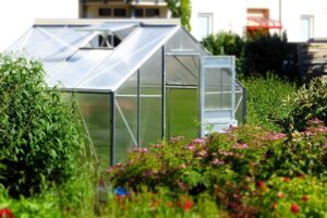 Read more about the article What Soil to Use in A Greenhouse
