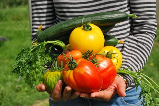 You are currently viewing Top Vegetables Every Beginner Can Grow and How to Get Started