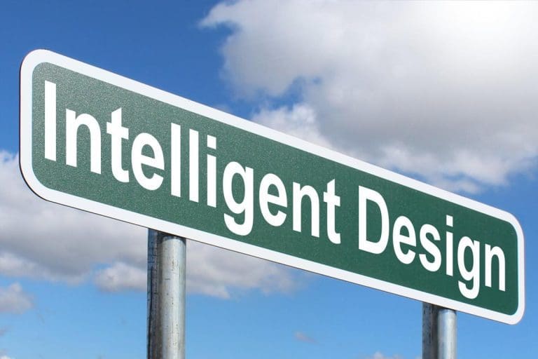 How to Write an Argument Essay About Intelligence
