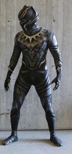Read more about the article The Bold and Fantastic Fashion of Black Panther Outfit