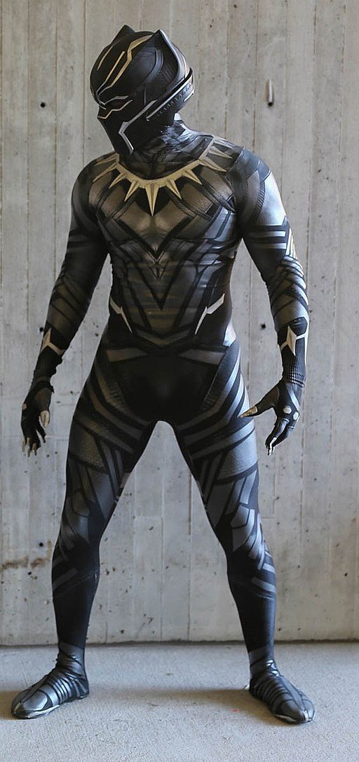 You are currently viewing The Bold and Fantastic Fashion of Black Panther Outfit