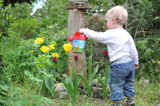 You are currently viewing How to Create a Child-Friendly Garden