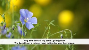 Read more about the article Why You Should Try Seed Cycling Now: The Benefits of a Natural Reset Button for Your Hormones.