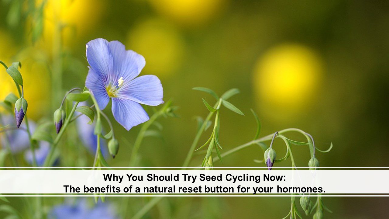 You are currently viewing Why You Should Try Seed Cycling Now: The Benefits of a Natural Reset Button for Your Hormones.