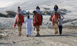 Read more about the article Experience the Desert Safari Dubai