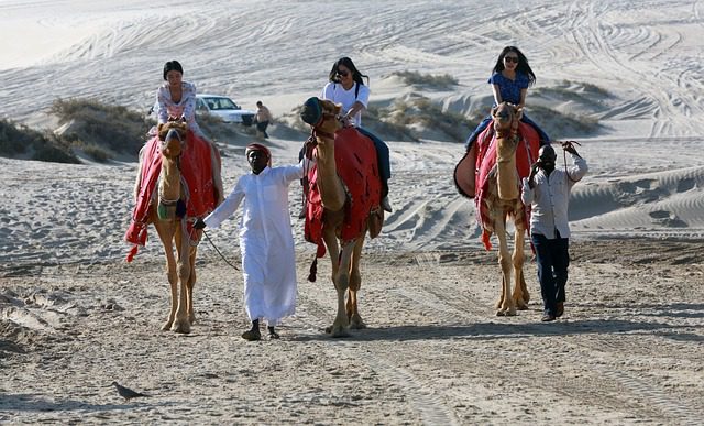You are currently viewing Experience the Desert Safari Dubai