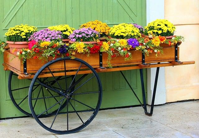 Flower cart