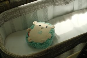 Read more about the article Creating a Safe and Soothing Sleep Space for Your Newborn with a Bedside Bassinet