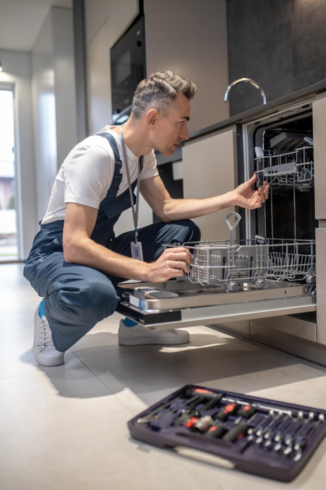 You are currently viewing Understanding Dishwasher Repair: Common Issues and Solutions