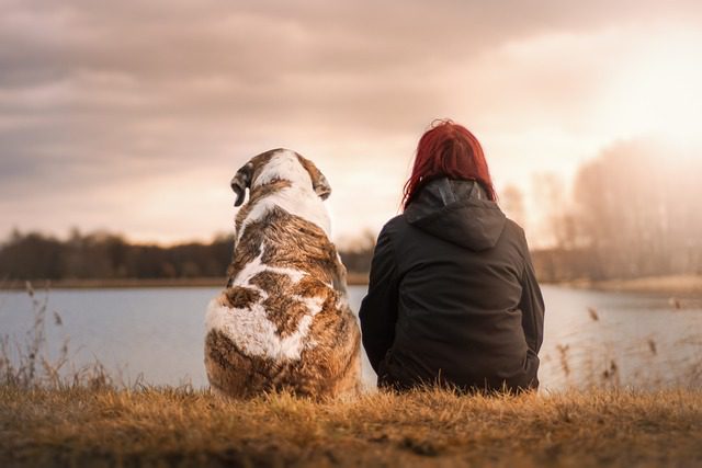 You are currently viewing The Pawsitive Impact: How Pets Can Benefit Your Mental Health