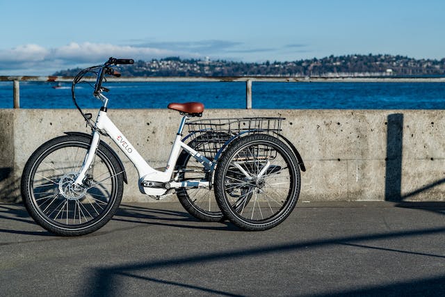 You are currently viewing 9 Pros and Cons of Buying an Adult Electric Trike