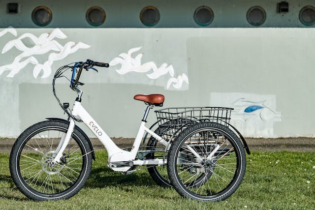 eco-friendly trike