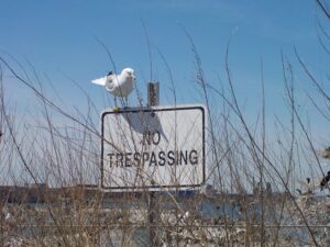 Read more about the article How a Trespassing Charge Can Quickly Turn into a Headache