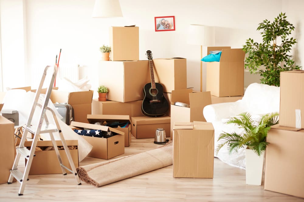 How To Efficiently Unpack and Acclimate to a New Home