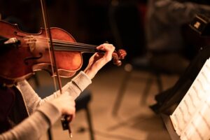 Read more about the article The Importance of Including a Viola in Your String Instrument Collection