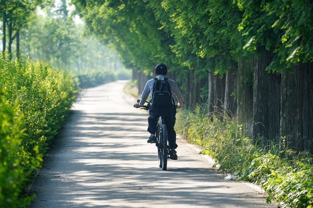 Rules of the Road to Know While Cycling