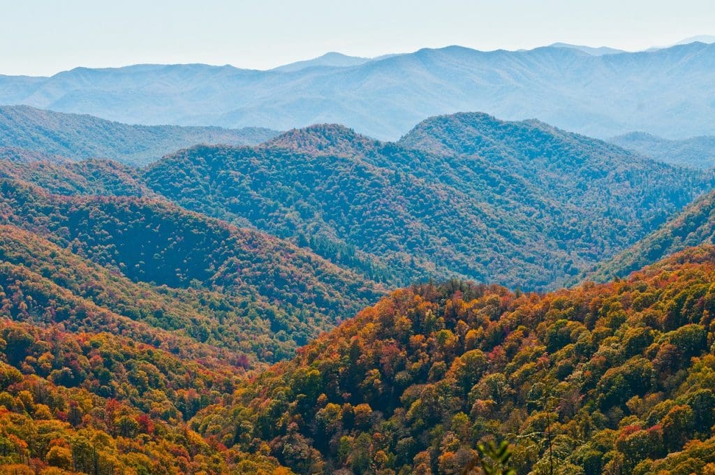 Smokies