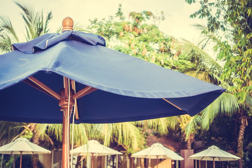 Comparing Pop-Up, Canopy, and Custom Tents: Size, Durability & Branding Impact